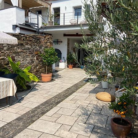 Ferienwohnung Zur Alten Schmiede Winningen Exterior photo